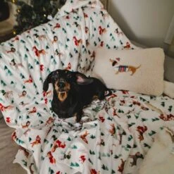 TIAKI Fun Winter Blanket For Dogs Set: Blanket For Dogs & Dog Pawrents -Zoo Plus tiaki decke funny winter dogs fs4 7 1