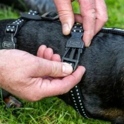 TIAKI Reflective Safety Harness Size L: 58 - 102cm Chest Circumference -Zoo Plus tiaki safety harness reflect mit hunden fg 3602 7