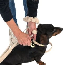 TIAKI Sherpa Collar, Lead & Scrunchie Large Size Collar: 42-66cm (Neck Circumference) -Zoo Plus tiaki sherpa mix variationen fg 5806 4